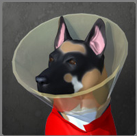 Team Fortress 2 - Сторожевая собака, день второй